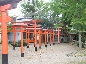 白尾稲荷神社全景