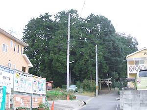 加迫神社全景