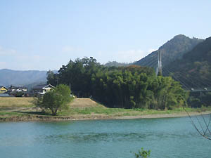 笠原神社全景