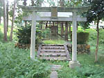 八坂神社鳥居