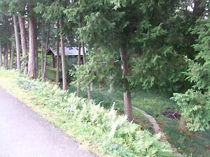 八坂神社全景