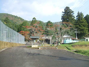 島萬神社全景