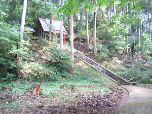 中山八幡神社全景