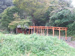 歓喜稲荷神社全景