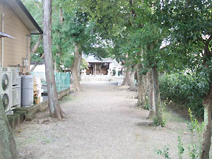 木祖殿神社全景