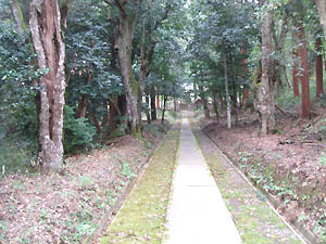 諏訪神社参道