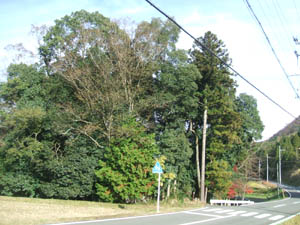 齋神社全景