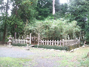 篠田神社御ミノシベ