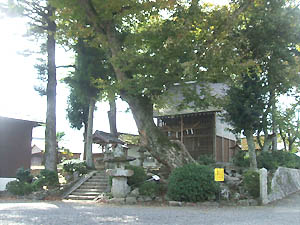 荒倉神社全景