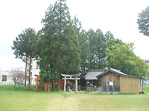 金比羅神社全景