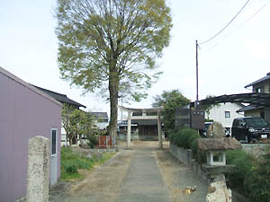 聖神社全景