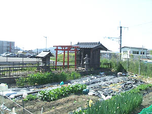 稲荷神社全景