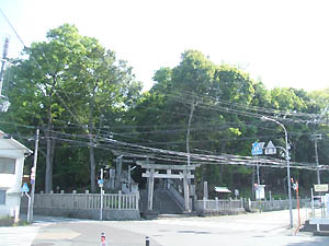 一宮神社全景