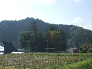 日吉神社全景