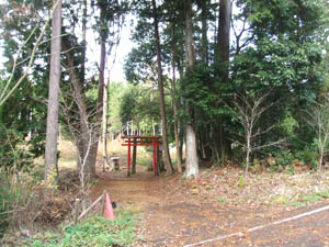 稲荷神社全景