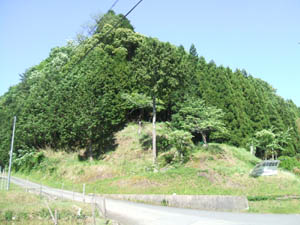 愛宕神社全景