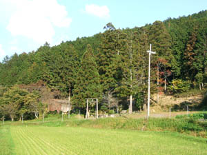 八幡宮全景