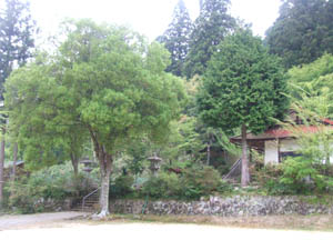 岡安神社全景