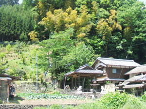 八幡神社全景