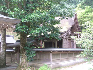 多治神社本殿