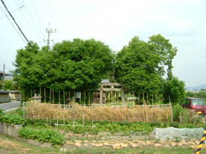 蛭子神社全景