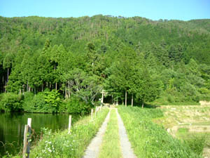 松尾神社参道