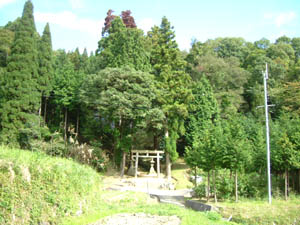 八幡神社全景