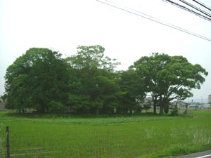 藤越神社全景