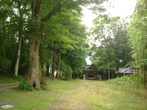 御霊神社全景
