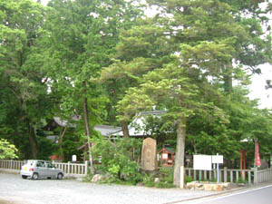 稗田野神社全景