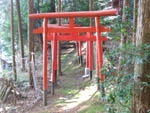 秀成稲荷神社鳥居