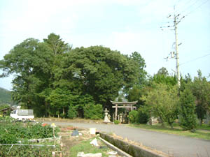 日慈谷神社全景