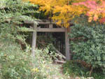 山王神社鳥居