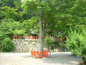 池尻天満宮全景