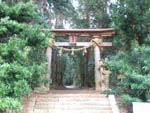 松尾神社鳥居