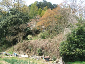 藪田神社全景