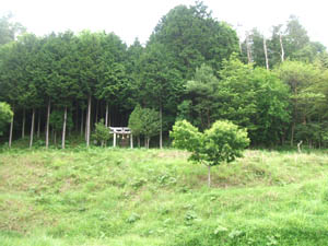 風尾八幡宮全景