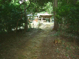 春日神社全景