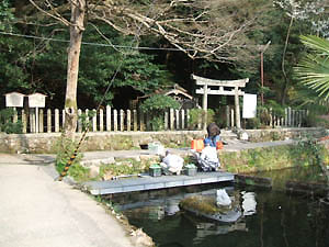 市杵島姫神社全景