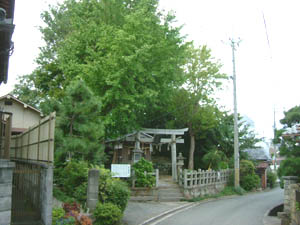 秋葉神社全景