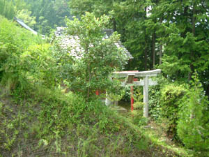 惶根神社全景