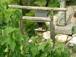 稲荷神社鳥居