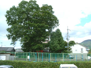 峯壽葉稲荷神社全景