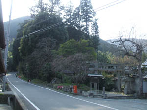 大宮神社全景