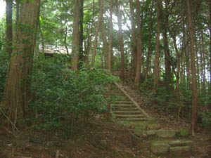 松井八幡神社全景