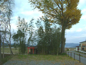 大井神社全景