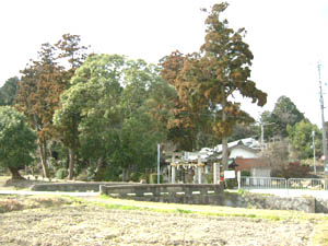 村山神社全景