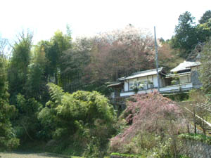 中八幡宮全景