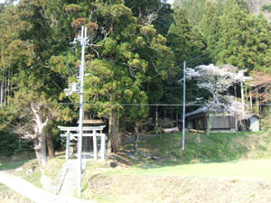 素戔鳴神社全景