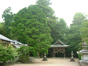 小幡神社全景